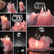 Illustration for article titled The Cat-Shaped Candle That Burns Down to a Skeleton